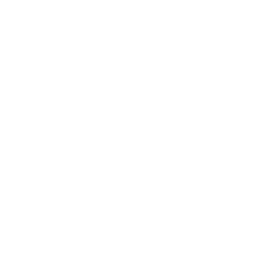 Award Chairman's Circle Platinum_wht